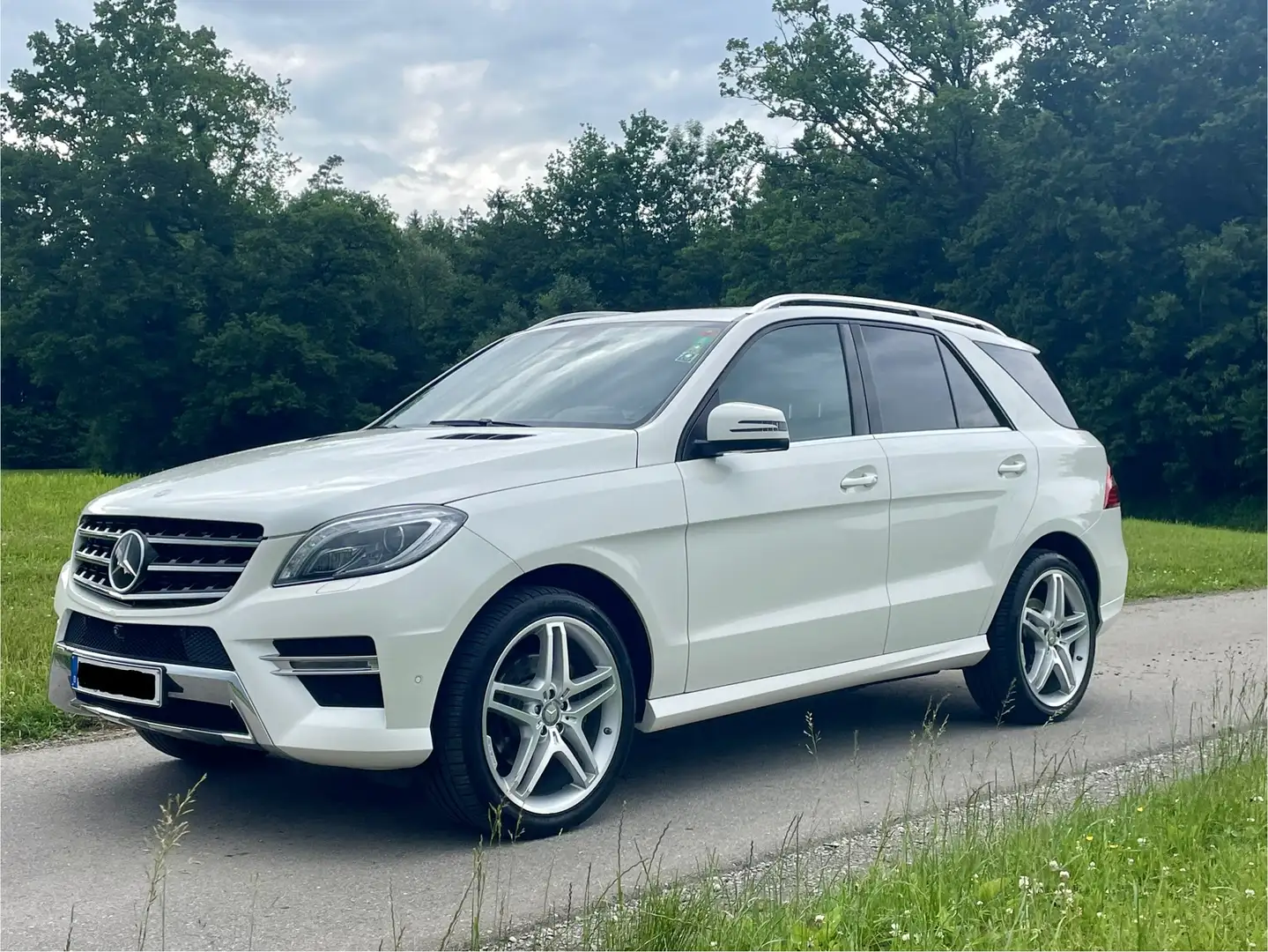 Mercedes-Benz ML 350 BlueTEC 4MATIC 7G-TRONIC - 1