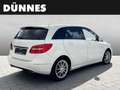 Mercedes-Benz B 180 B180 CDI 7G-DCT Weiß - thumbnail 2