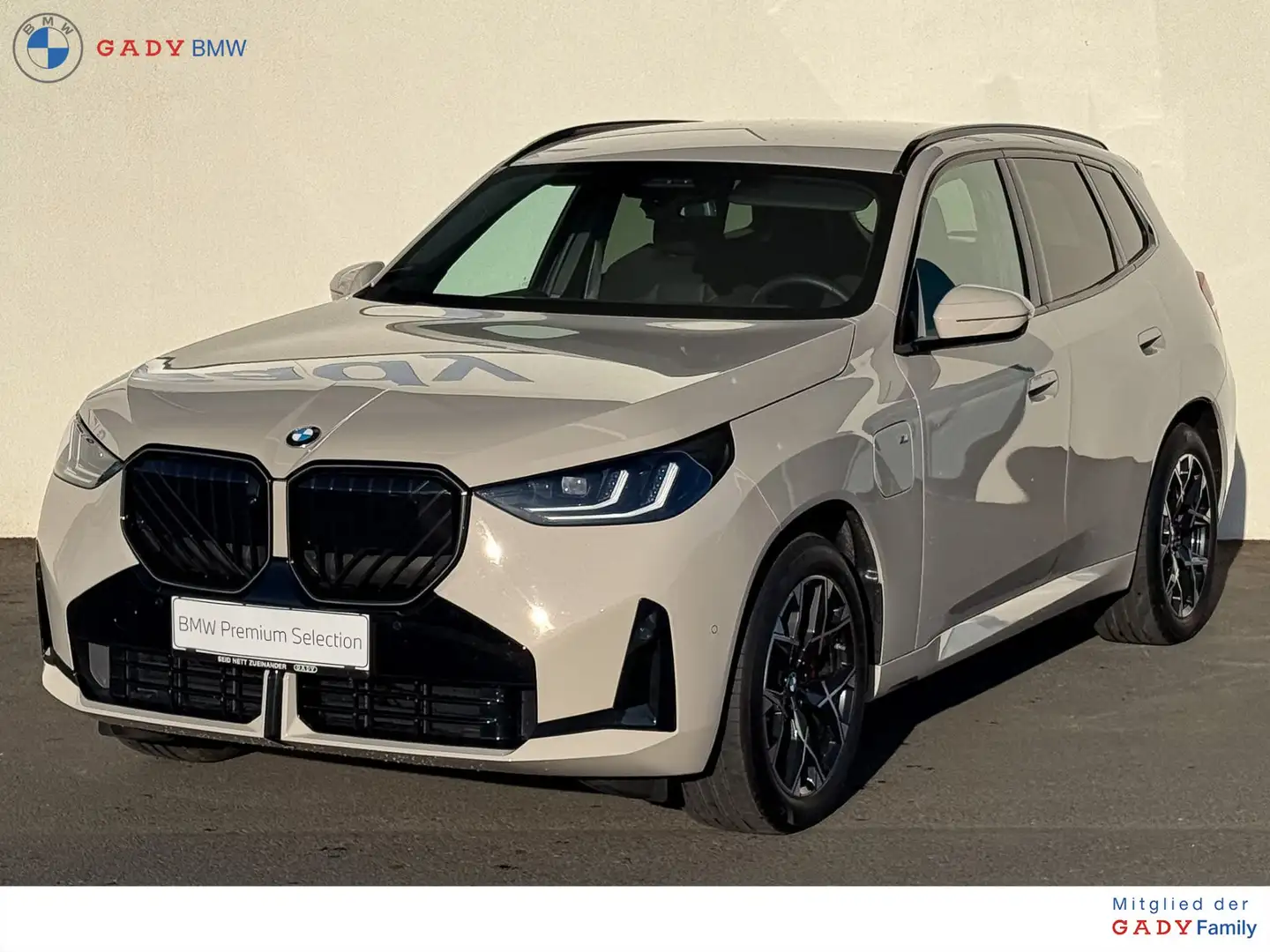 BMW X3 30e xDrive Grau - 1