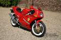 Ducati 851 Superbike SP2 with Only 285 km!!! Delivery mileage Rojo - thumbnail 17