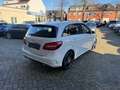 Mercedes-Benz B 220 CDI AMG-Line*NAVI*SHZ*KEYLES*XENON*** Weiß - thumbnail 5