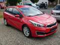 Kia Ceed SW / cee'd SW Rood - thumbnail 3