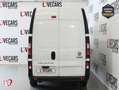 Fiat Talento 1.2 BASE LARGO ALTO 1.6 ECOJET Blanco - thumbnail 26