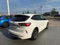 Ford Kuga Kuga III 2020 2.5 phev ST-Line 2wd 225cv cvt Bianco - thumbnail 4