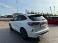 Ford Kuga Kuga III 2020 2.5 phev ST-Line 2wd 225cv cvt Bianco - thumbnail 3