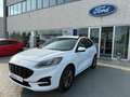 Ford Kuga Kuga III 2020 2.5 phev ST-Line 2wd 225cv cvt Bianco - thumbnail 2