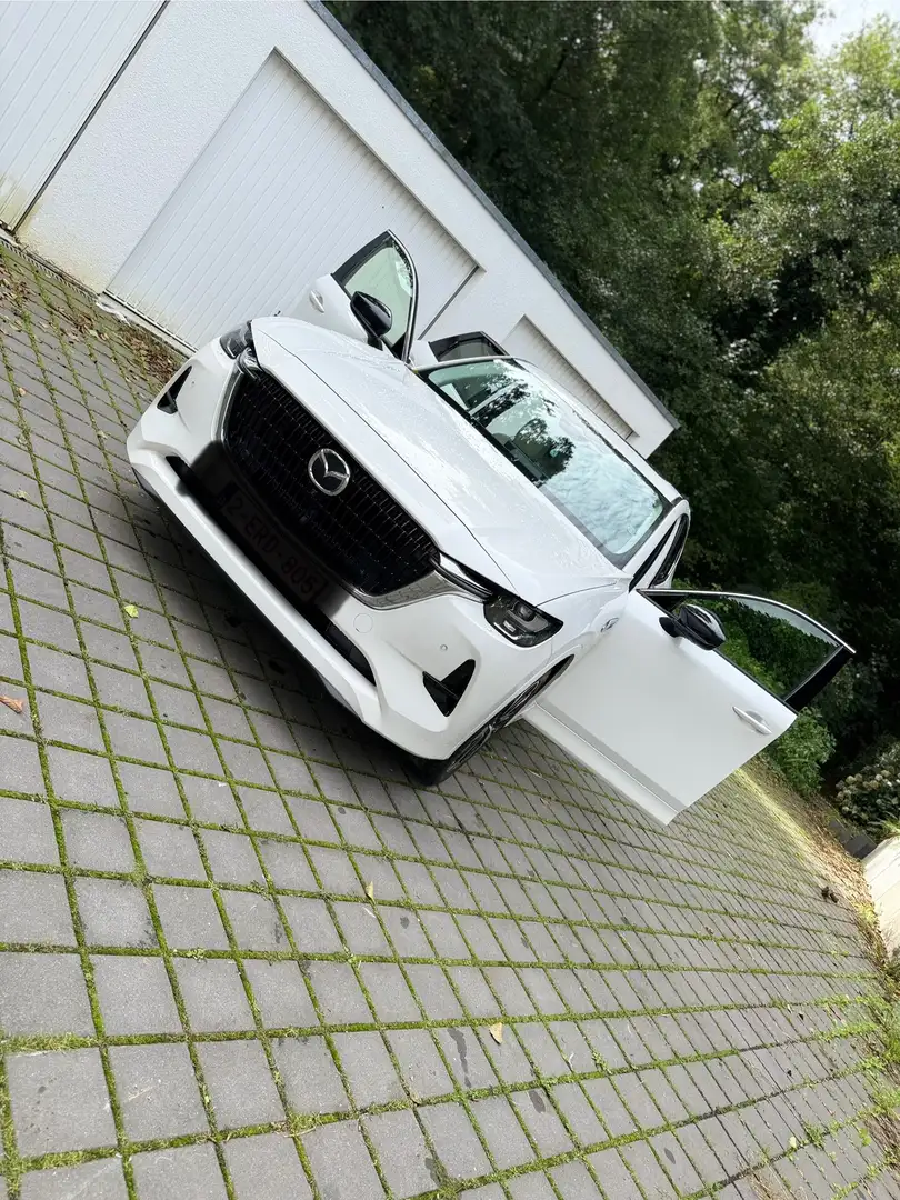 Mazda CX-60 AWD PHEV Aut. TAKUMI - 1