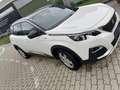 Peugeot 3008 3008 1,5 BlueHDi 130 GT Line Automatik Weiß - thumbnail 6