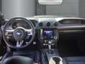 Ford Mustang Mach 1 Ti-VCT V8 5.0 Navi Leder Soundsystem B & O Schwarz - thumbnail 10