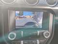 Ford Mustang Mach 1 Ti-VCT V8 5.0 Navi Leder Soundsystem B & O Schwarz - thumbnail 23