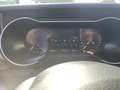Ford Mustang Mach 1 Ti-VCT V8 5.0 Navi Leder Soundsystem B & O Schwarz - thumbnail 12