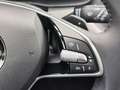 Skoda Kamiq Kamiq Top Selection 115PS SHZ Tempomat PDC Kamera Grau - thumbnail 21