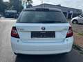Skoda Fabia COOL EDITION/1.HAND/KLIMA/5-TRG/TÜV-SERV.-NEU! Weiß - thumbnail 5