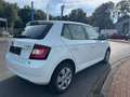Skoda Fabia COOL EDITION/1.HAND/KLIMA/5-TRG/TÜV-SERV.-NEU! Weiß - thumbnail 3