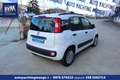 Fiat Panda 1.3 mjt 16v Easy Pari al nuovo Garanzia Bianco - thumbnail 5