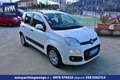 Fiat Panda 1.3 mjt 16v Easy Pari al nuovo Garanzia Bianco - thumbnail 3