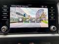 Skoda Kodiaq 2.0 TDI Amb. DSG AHK+LED+NAVI+RADAR+ASSIST Grau - thumbnail 21