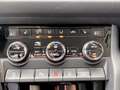 Skoda Kodiaq 2.0 TDI Amb. DSG AHK+LED+NAVI+RADAR+ASSIST Grau - thumbnail 24