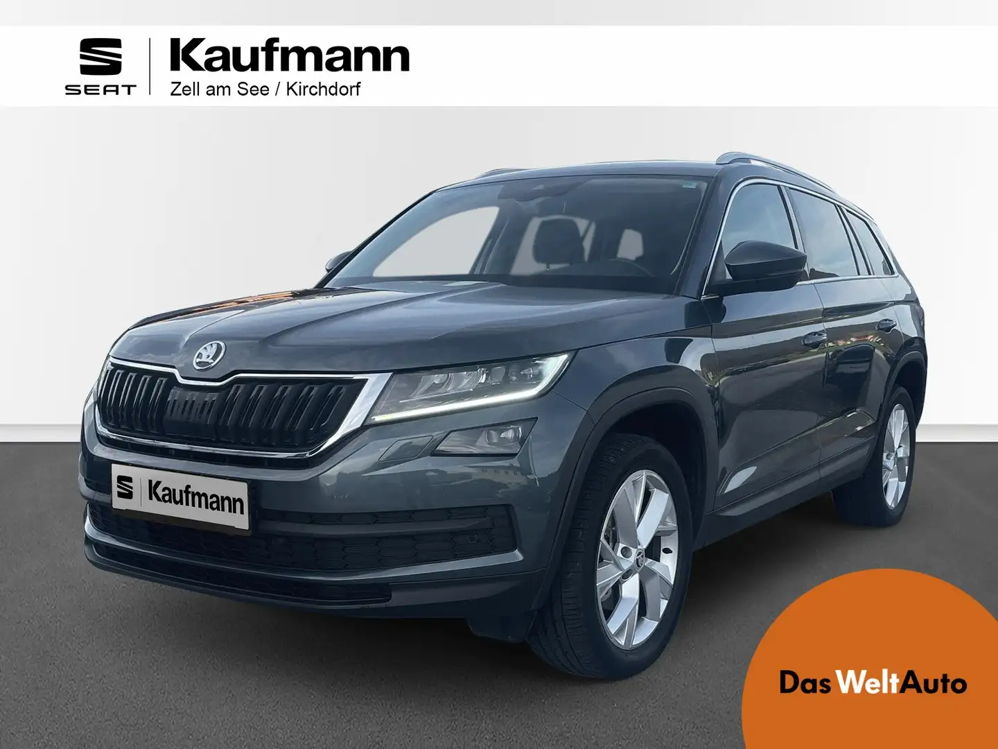 Skoda Kodiaq 4x4 Style TDI SCR DSG Gris - 1
