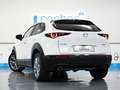 Mazda CX-30 2.0 Skyactiv-G Evolution 2WD Aut. 90kW Blanco - thumbnail 37