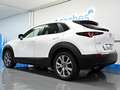 Mazda CX-30 2.0 Skyactiv-G Evolution 2WD Aut. 90kW Blanco - thumbnail 9