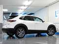 Mazda CX-30 2.0 Skyactiv-G Evolution 2WD Aut. 90kW Blanco - thumbnail 40