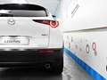 Mazda CX-30 2.0 Skyactiv-G Evolution 2WD Aut. 90kW Blanco - thumbnail 13