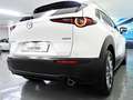 Mazda CX-30 2.0 Skyactiv-G Evolution 2WD Aut. 90kW Blanco - thumbnail 12