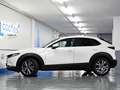 Mazda CX-30 2.0 Skyactiv-G Evolution 2WD Aut. 90kW Blanco - thumbnail 39
