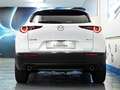Mazda CX-30 2.0 Skyactiv-G Evolution 2WD Aut. 90kW Blanco - thumbnail 11