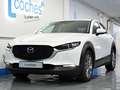 Mazda CX-30 2.0 Skyactiv-G Evolution 2WD Aut. 90kW Blanco - thumbnail 5