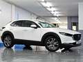 Mazda CX-30 2.0 Skyactiv-G Evolution 2WD Aut. 90kW Blanco - thumbnail 34