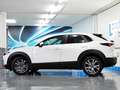 Mazda CX-30 2.0 Skyactiv-G Evolution 2WD Aut. 90kW Blanco - thumbnail 35