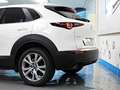 Mazda CX-30 2.0 Skyactiv-G Evolution 2WD Aut. 90kW Blanco - thumbnail 36