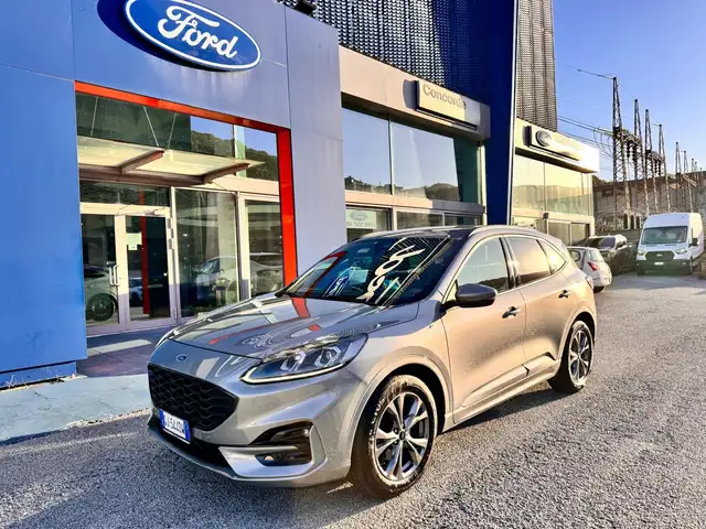 Ford Kuga Kuga 2.0 ecoblue mhev ST-Line 2wd 150cv