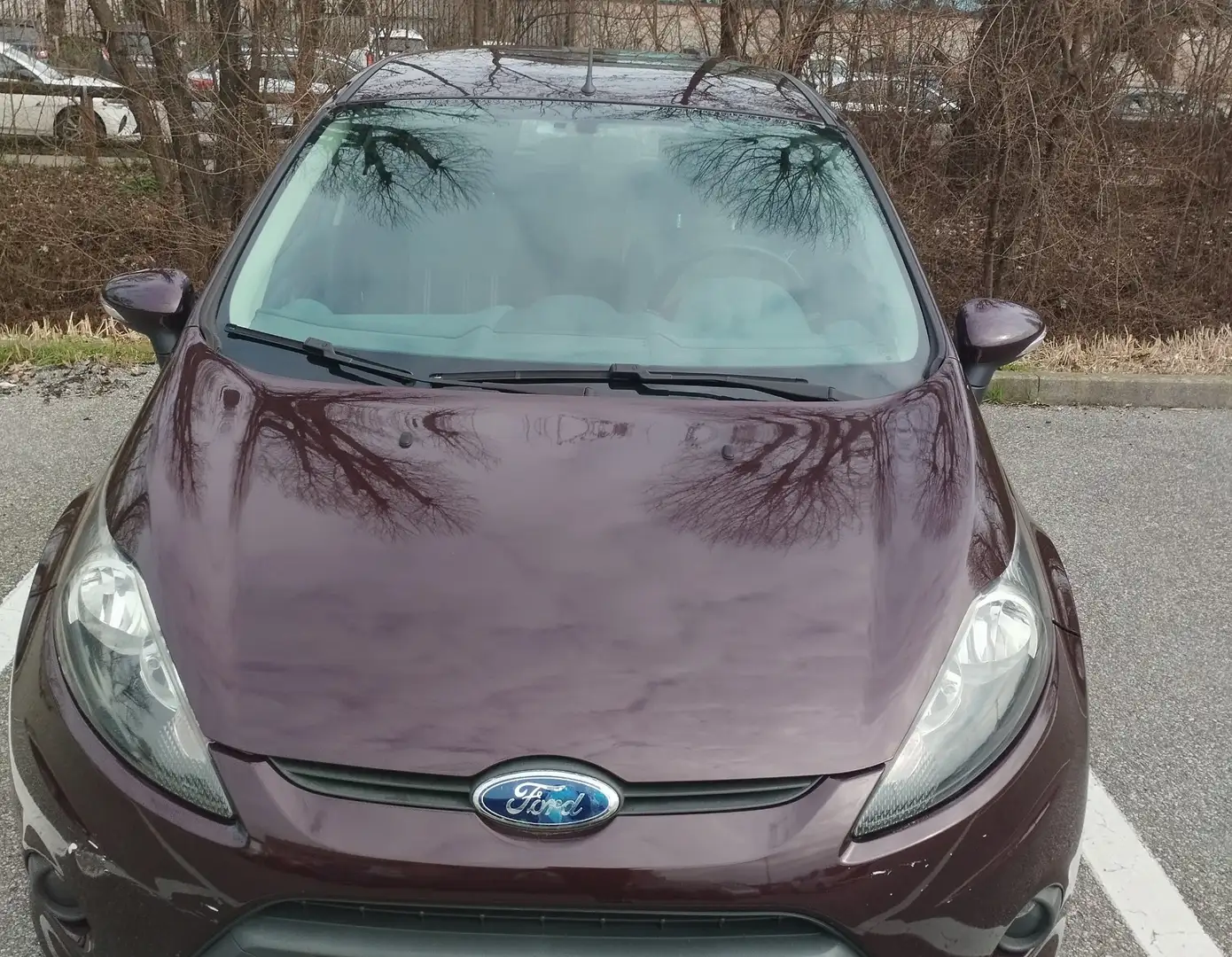 Ford Fiesta 5p 1.4 16v + Gpl - 1