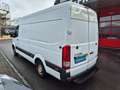 Hyundai H 350 AN HÄNDLER ODER EXPORT ! Kasten L2H2 Eco Weiß - thumbnail 6