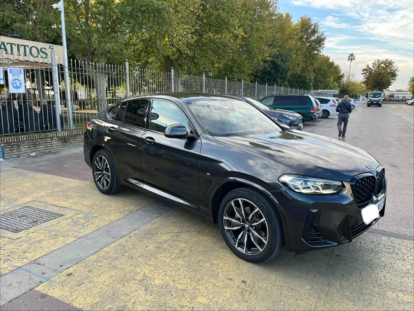 BMW X4 X4 xDrive 20dA xLine M Sport M Sport Gris - 2