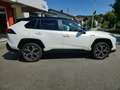 Toyota RAV 4 Plug-in Hybrid 4x4 VIP Weiß - thumbnail 8