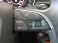 Audi A4 allroad 2ª serie 2.0 TDI 190 CV S tronic Business Evoluti Gris - thumbnail 15