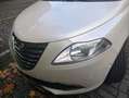 Lancia Ypsilon Y 0.9 TwinAir Turbo 8V Platinum Weiß - thumbnail 3