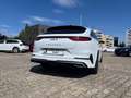 Kia ProCeed / pro_cee'd Pro Cee'd GT-LINE DCT 160PS Pro Cee'd GT-LINE AT Weiß - thumbnail 12
