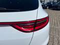 Kia ProCeed / pro_cee'd Pro Cee'd GT-LINE DCT 160PS Pro Cee'd GT-LINE AT Weiß - thumbnail 11