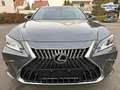 Lexus ES 300 h *STYLE-EDITION*PREMIUM-NAVI*SERVICE NEU* Grau - thumbnail 15