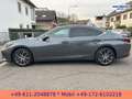 Lexus ES 300 h *STYLE-EDITION*PREMIUM-NAVI*SERVICE NEU* Grau - thumbnail 10