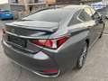 Lexus ES 300 h *STYLE-EDITION*PREMIUM-NAVI*SERVICE NEU* Gris - thumbnail 12