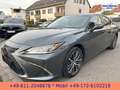 Lexus ES 300 h *STYLE-EDITION*PREMIUM-NAVI*SERVICE NEU* Gris - thumbnail 7