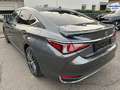 Lexus ES 300 h *STYLE-EDITION*PREMIUM-NAVI*SERVICE NEU* Gris - thumbnail 14