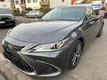 Lexus ES 300 h *STYLE-EDITION*PREMIUM-NAVI*SERVICE NEU* Gris - thumbnail 13