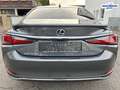 Lexus ES 300 h *STYLE-EDITION*PREMIUM-NAVI*SERVICE NEU* Gris - thumbnail 16